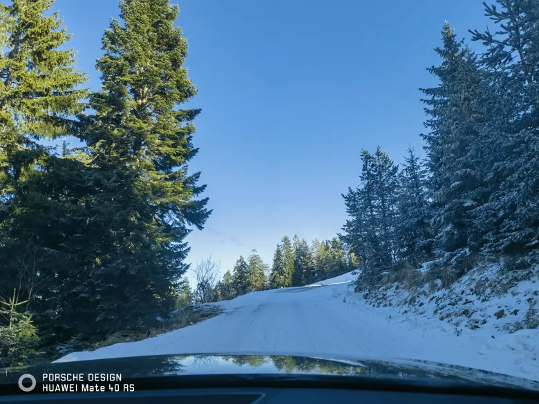 照片：行车途中覆雪的山路，两侧是高耸的松树与蓝天。