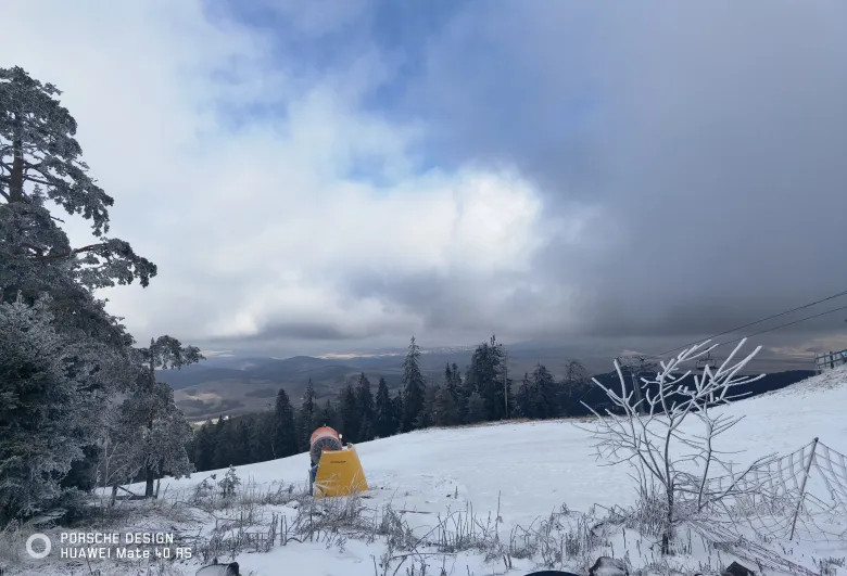 照片：山顶雪坡上覆霜的树木与黄色的造雪设备，上方透出蓝天。