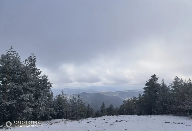 照片：被霜覆盖的树丛环绕着积雪空地，远处群山层层叠叠。